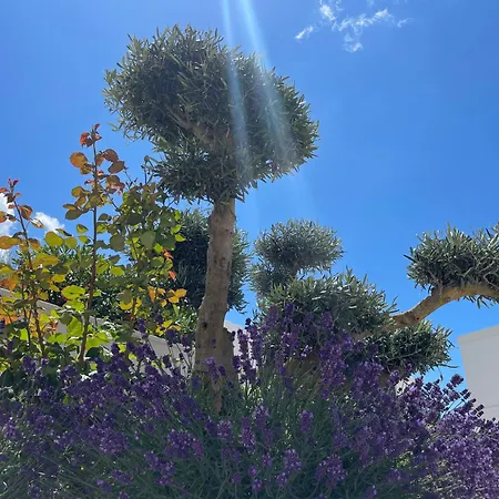 Sunhill P1-s5 Primošten