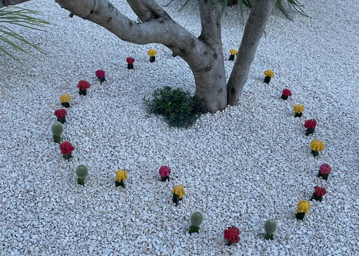 Primosten Sunhill P1-S5 * 普利莫顿