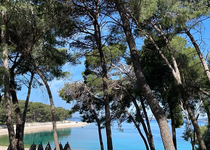 公寓 Primosten Sunhill P1-S5 *