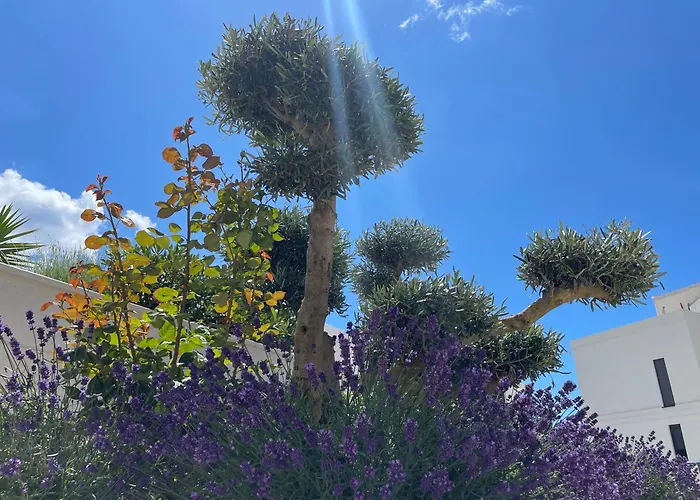 Primosten Sunhill P1-S5 Primošten